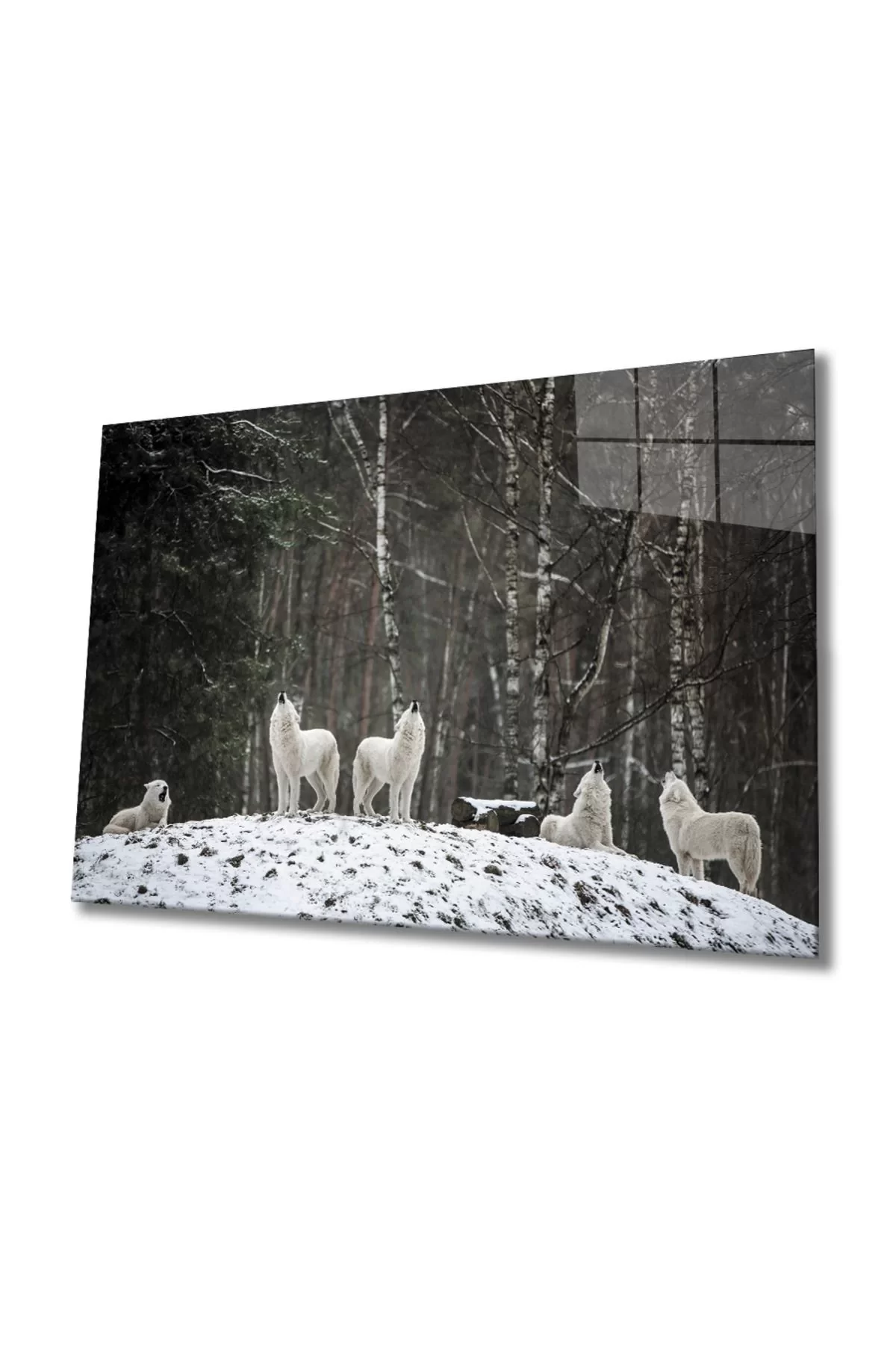 White Wolf Glass Painting