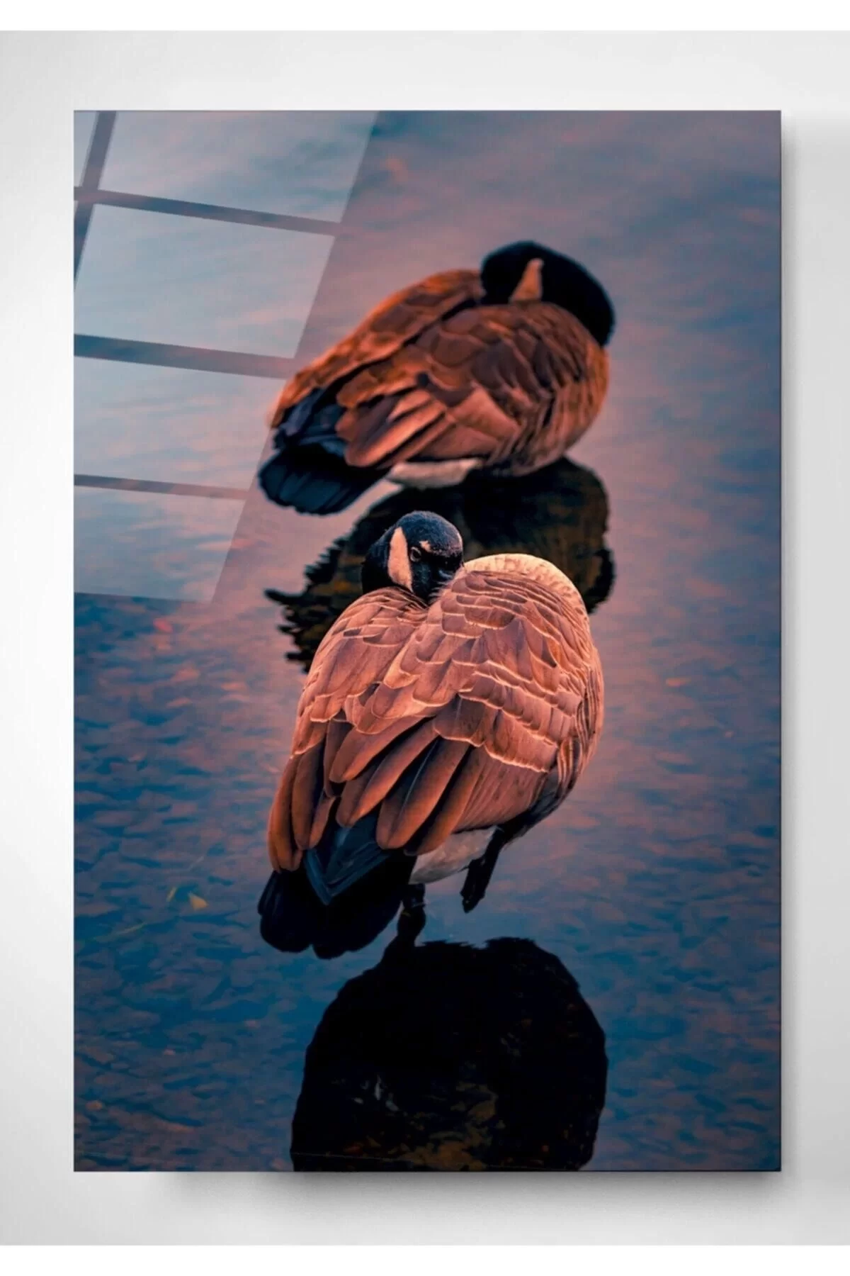 Branta Canadensis Glass Table 70x110