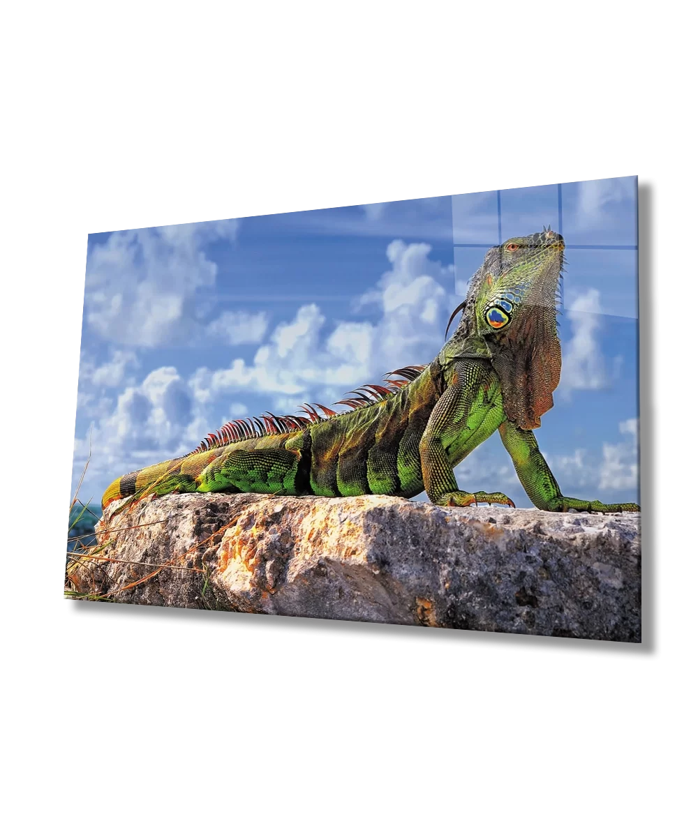 Chameleon Glass Painting