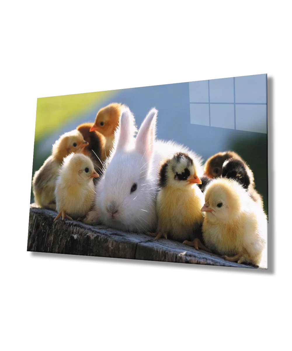 Chicks and Rabbit Glass Painting