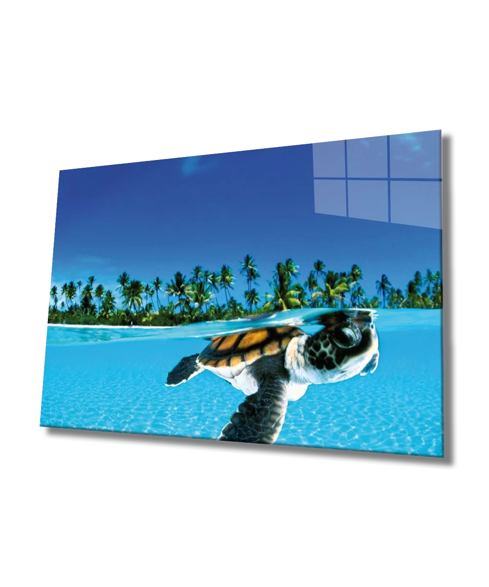 Sea Turtle Glass Painting Sea Turtle