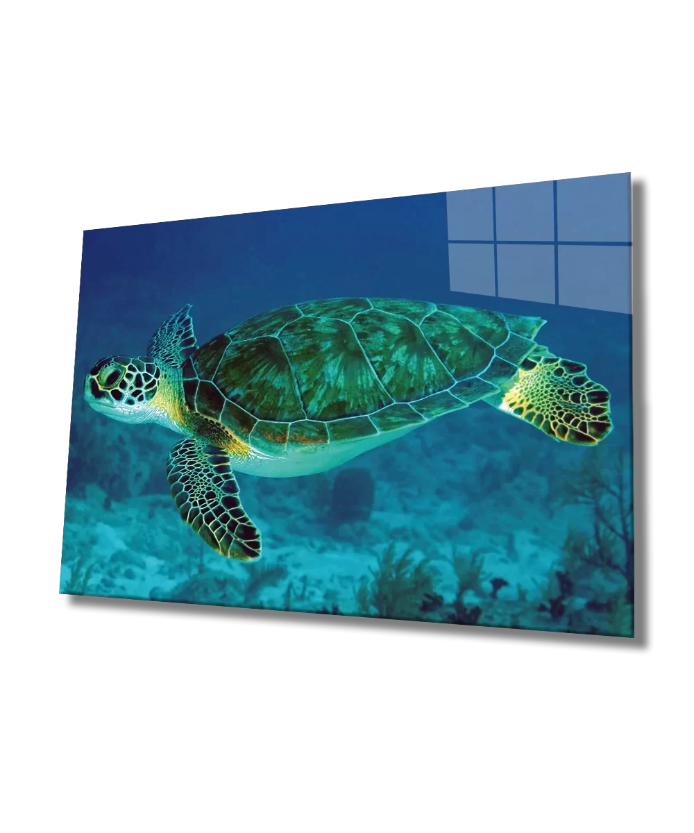 Sea Turtle Glass Painting Sea Turtle