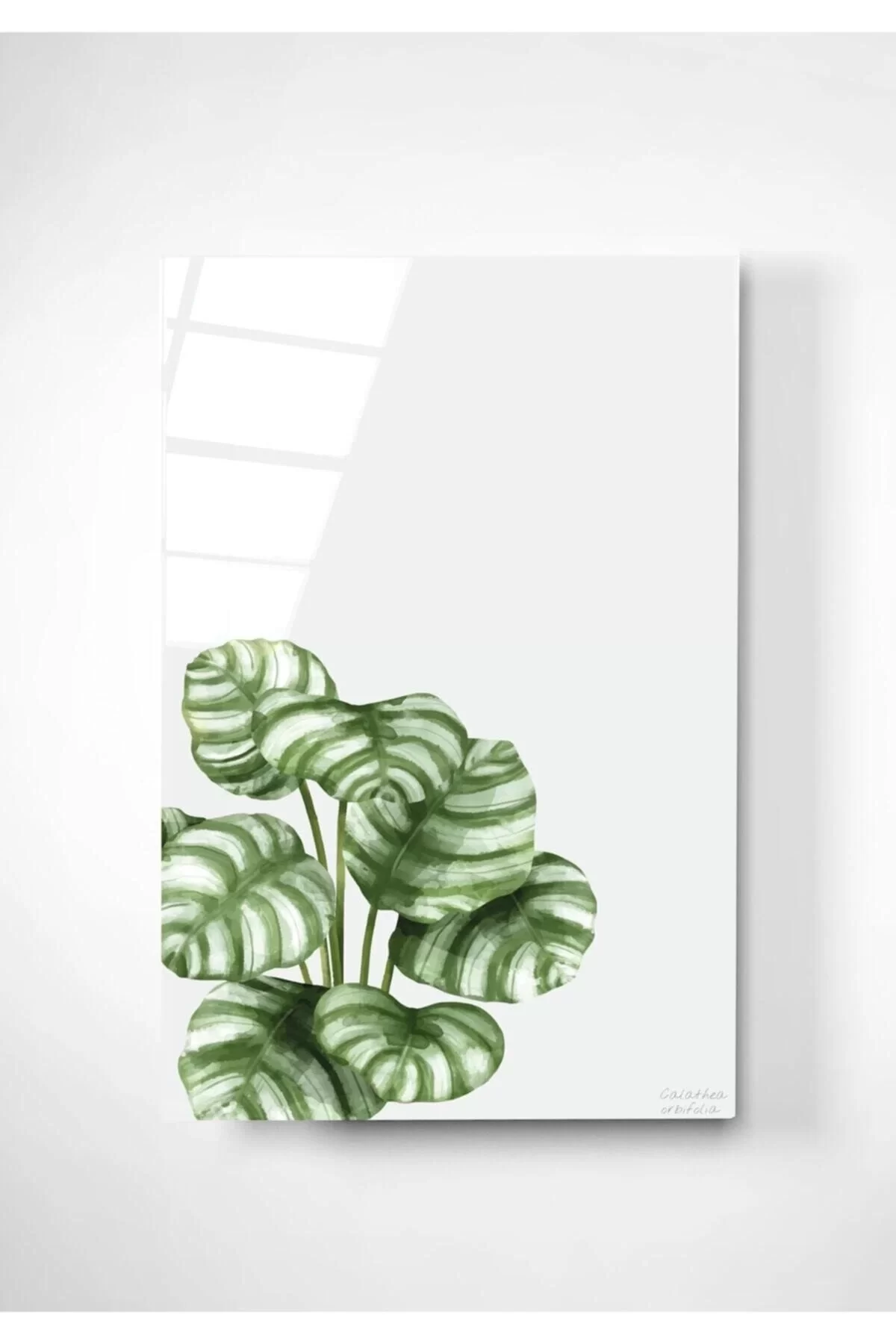 Digi-art Calathea Orbifolia Glass Painting 70x110