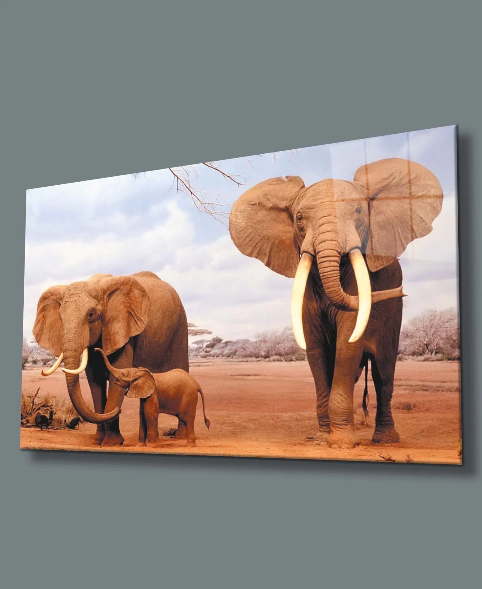 Elephant Glass Painting