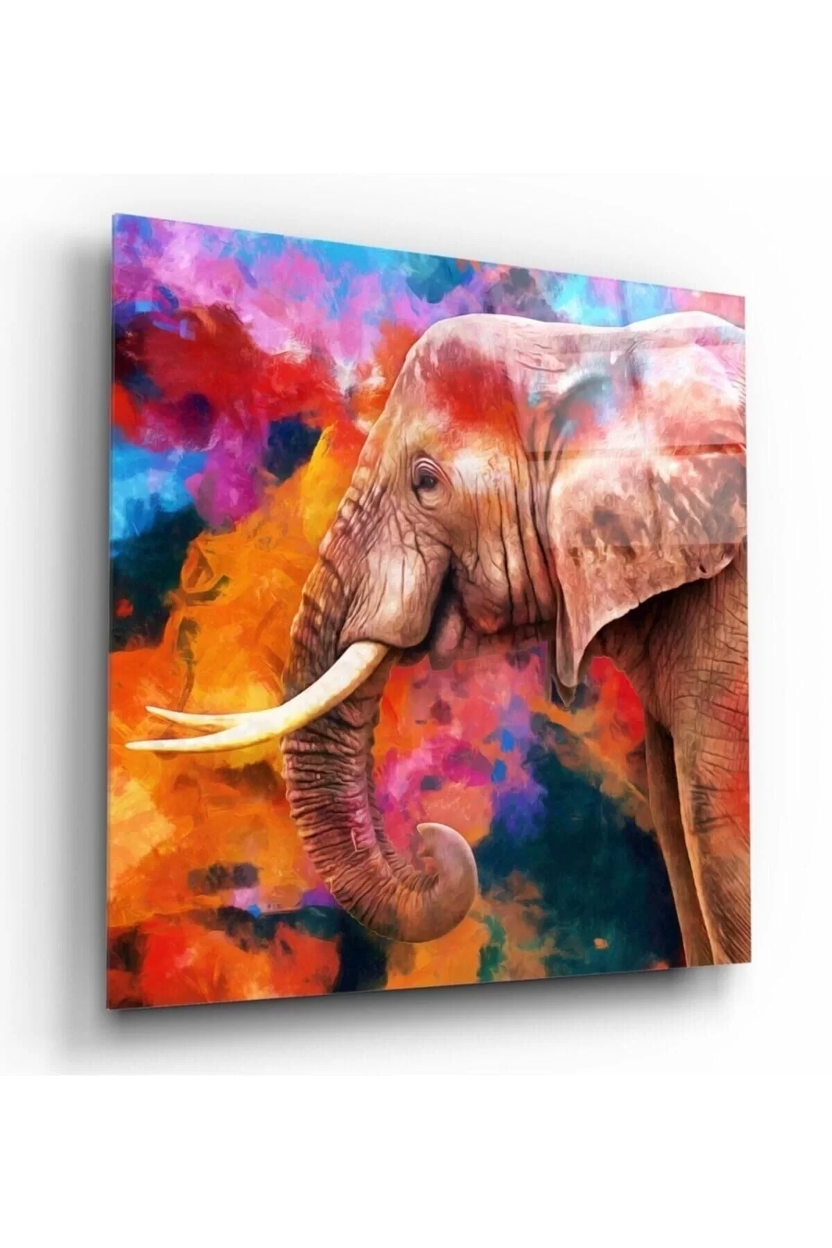 Elephant Glass Painting