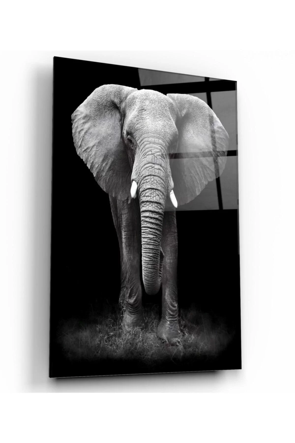 Elephant Glass Painting