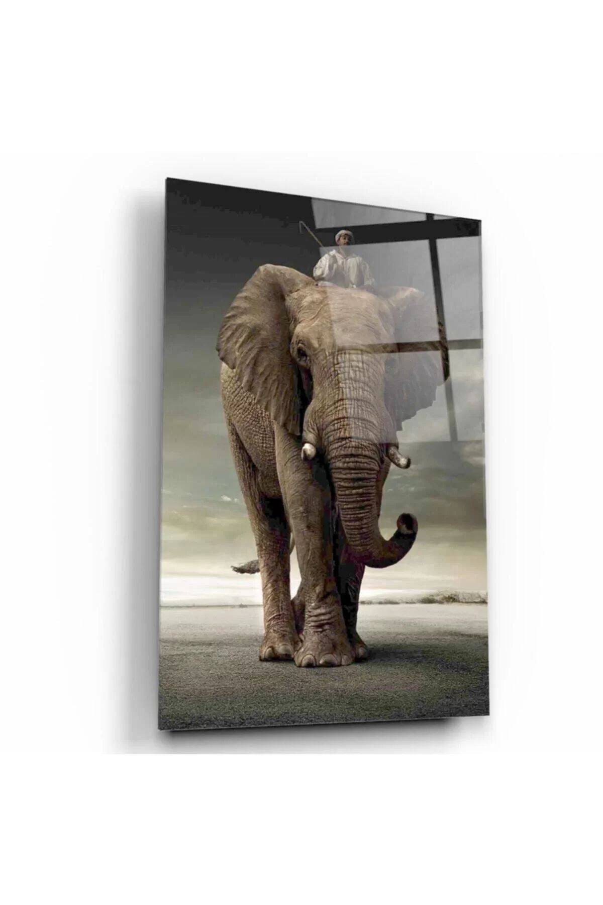 Elephant Glass Painting