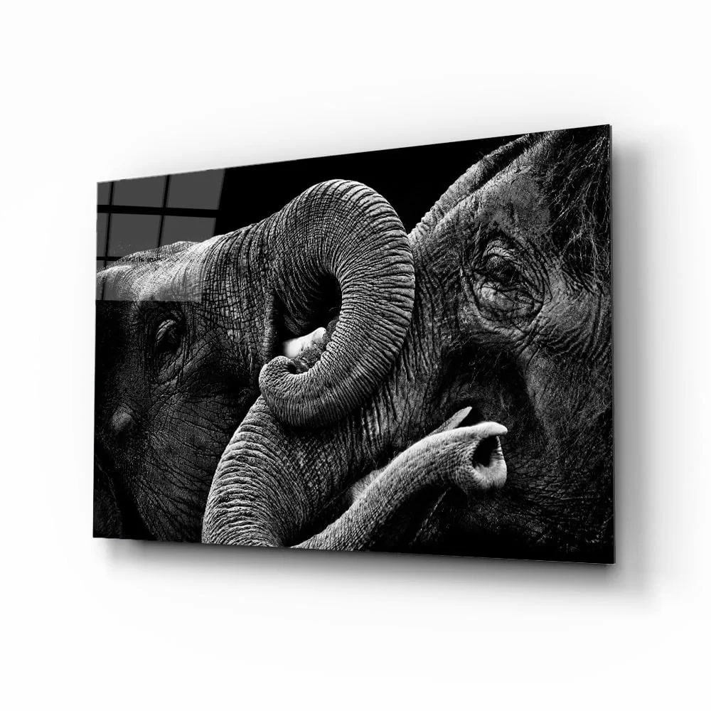 Elephant Animal Glass Painting