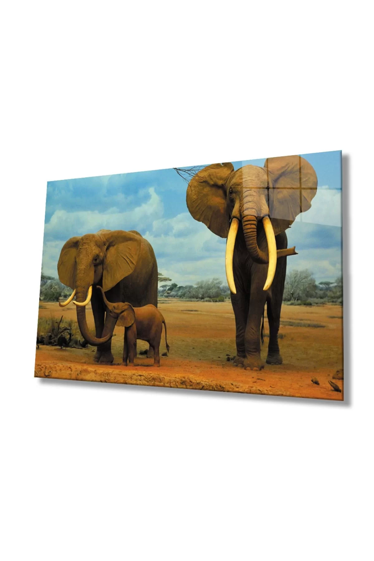 Elephants Animal Glass Table 4mm Durable Tempered Glass