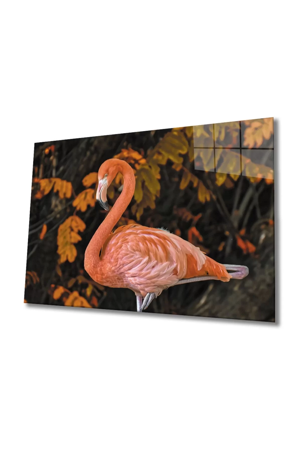 Flamingo 2 Glass Table