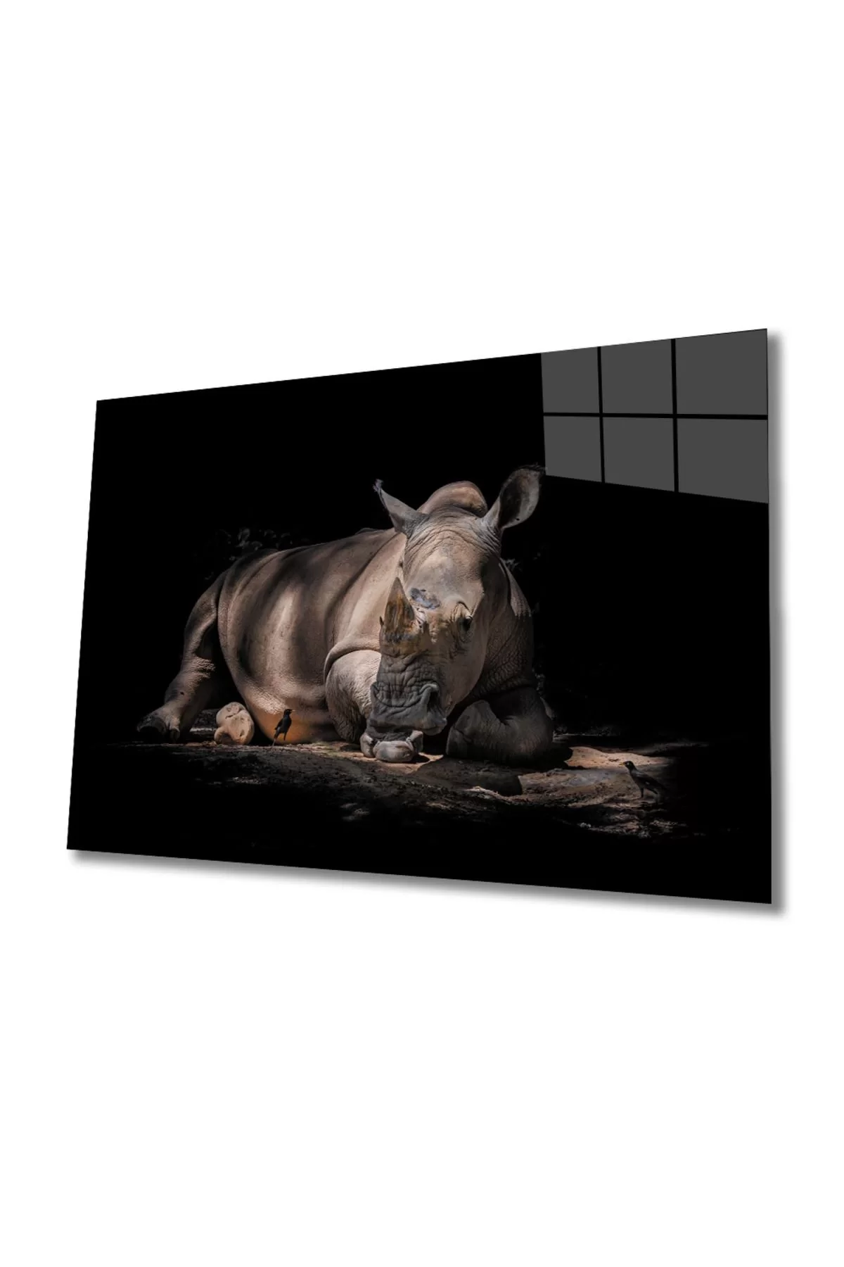 Rhino Glass Painting