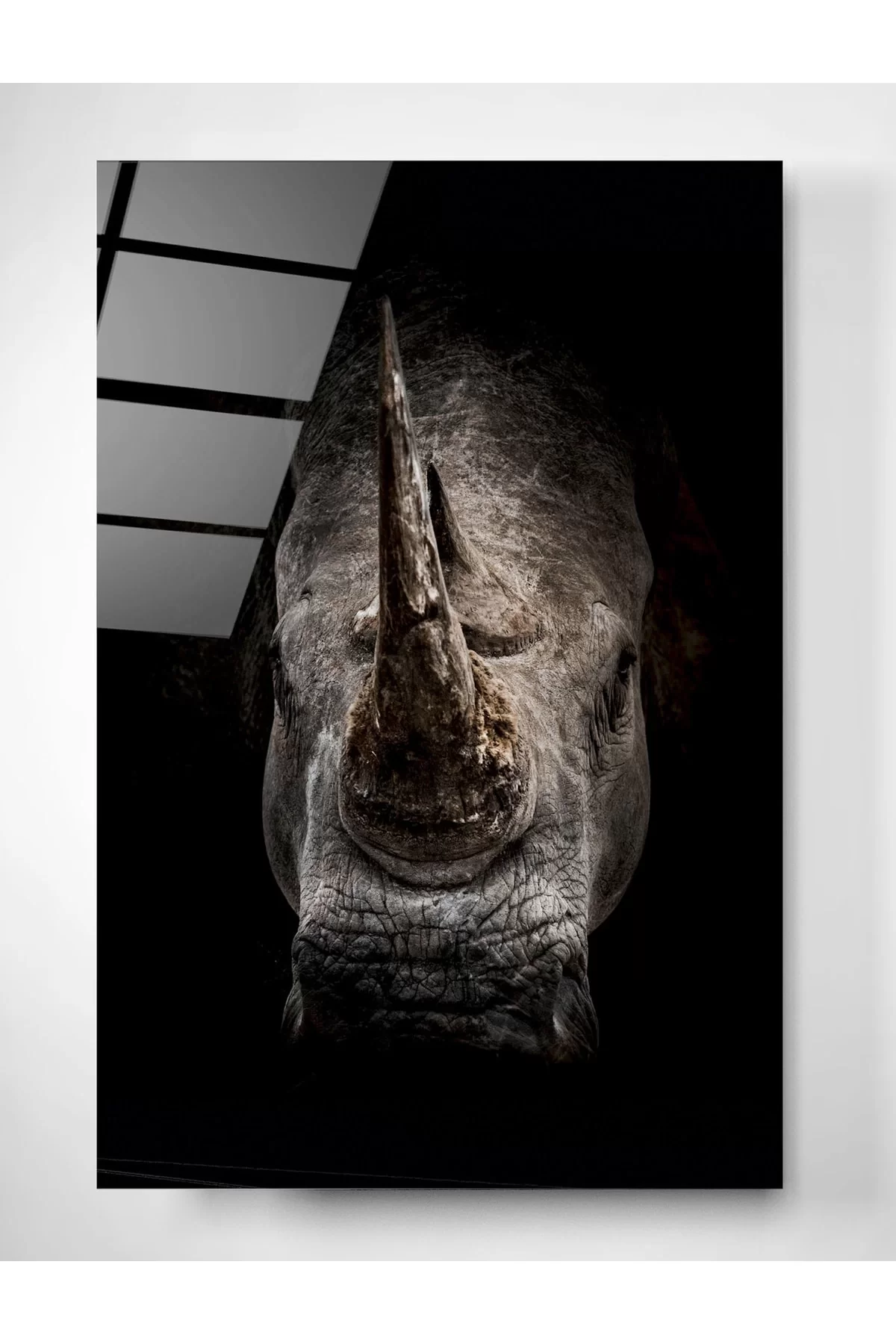 Rhino Glass Painting