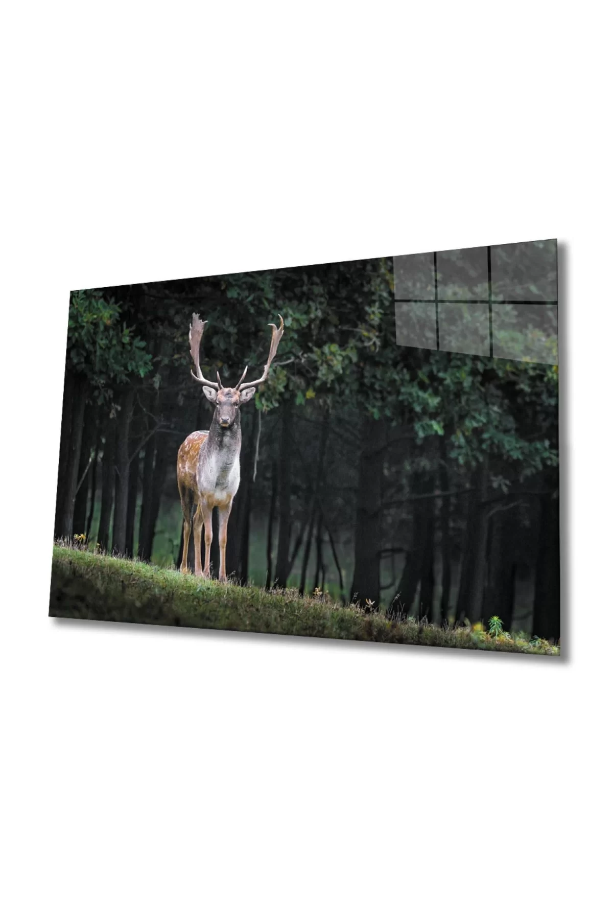 Deer Glass Painting