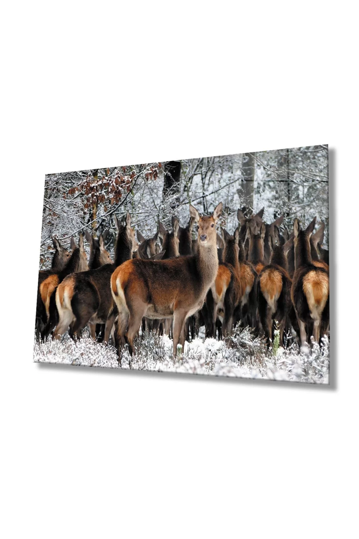 Deers Animal Glass Painting 4mm Durable Tempered Glass