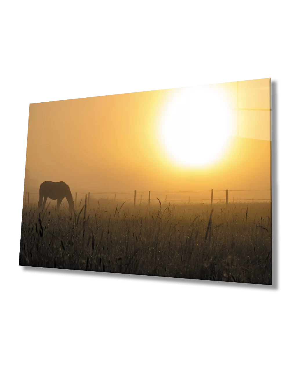 Sunset Horse Glass Table Sunset Horse Table