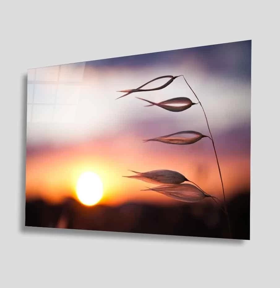 Sunset Glass Painting