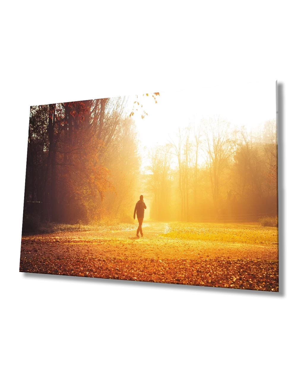 Man Walking Among Trees at Sunset