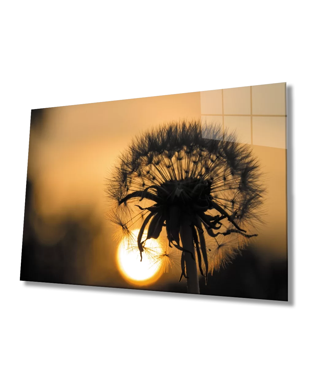 Plant Table Tempered At Sunset