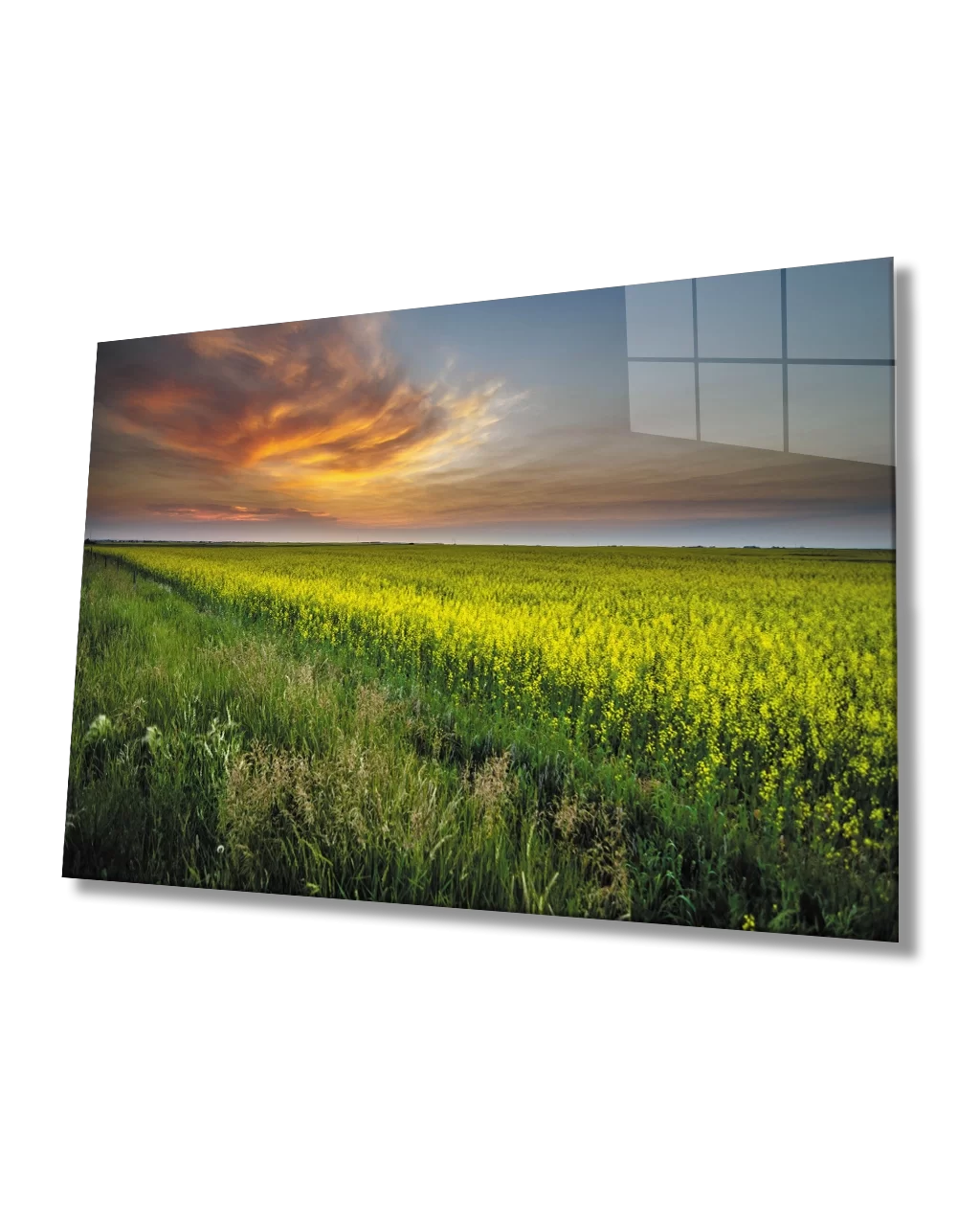 Glass Painting with View of the Flower Field at Sunset