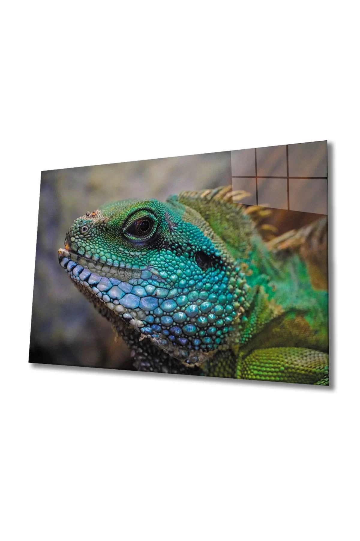 Iguana Glass Painting