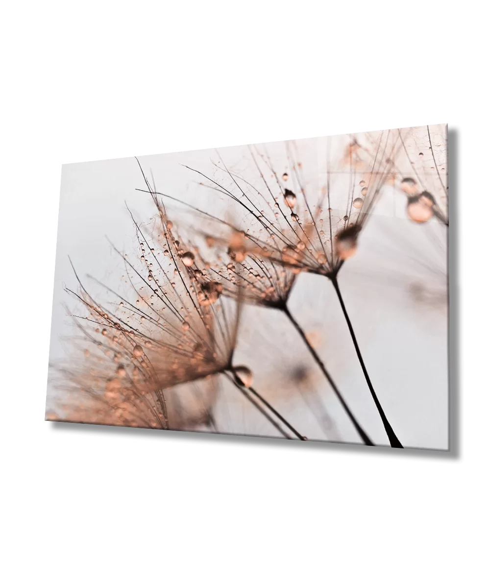 Brown Dandelion Glass Painting