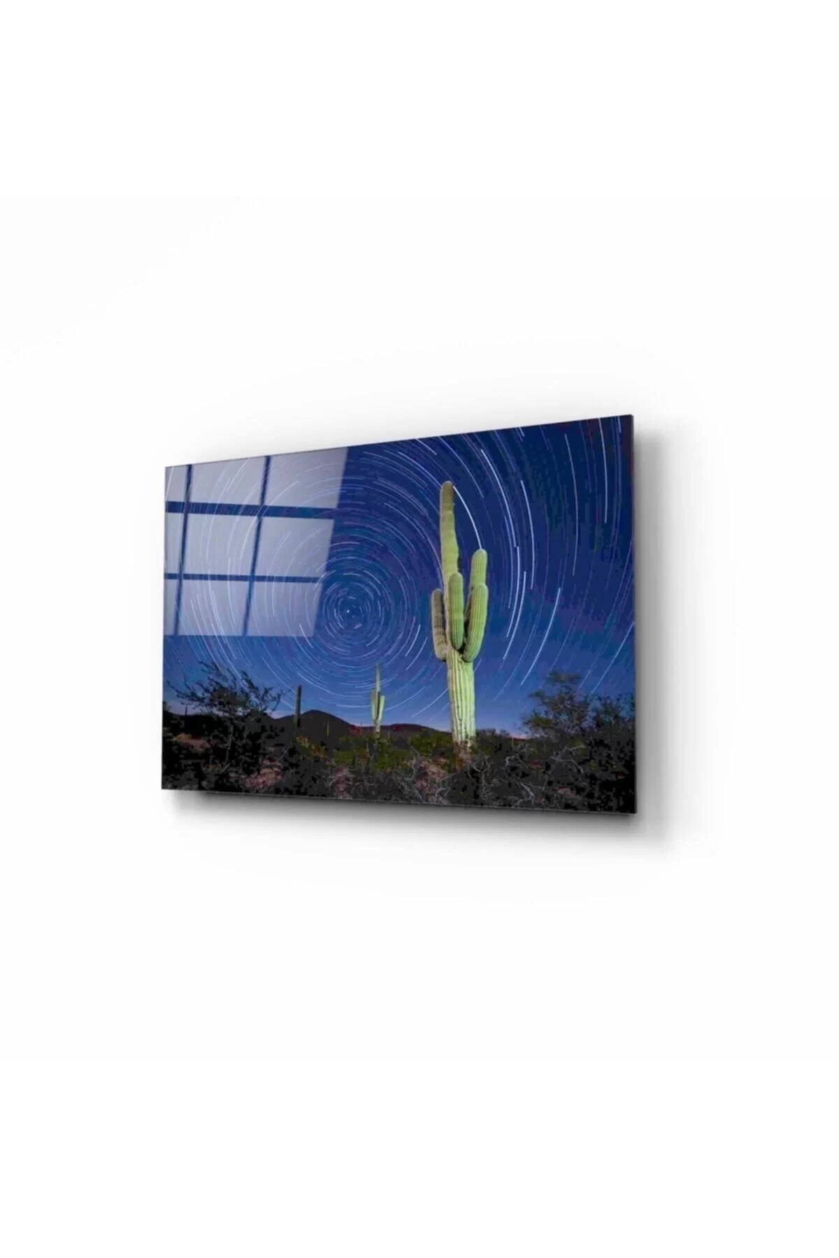 Cactus Glass Table 50x70 Cm