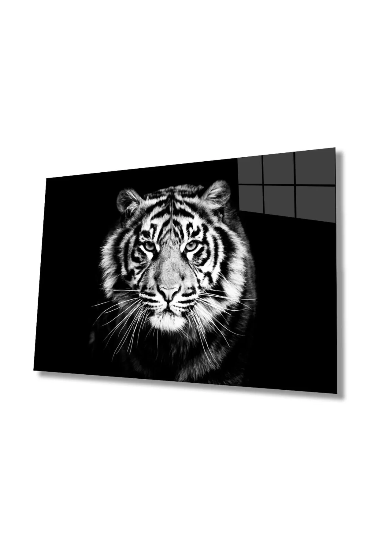 Tiger 3 Animal Glass Painting