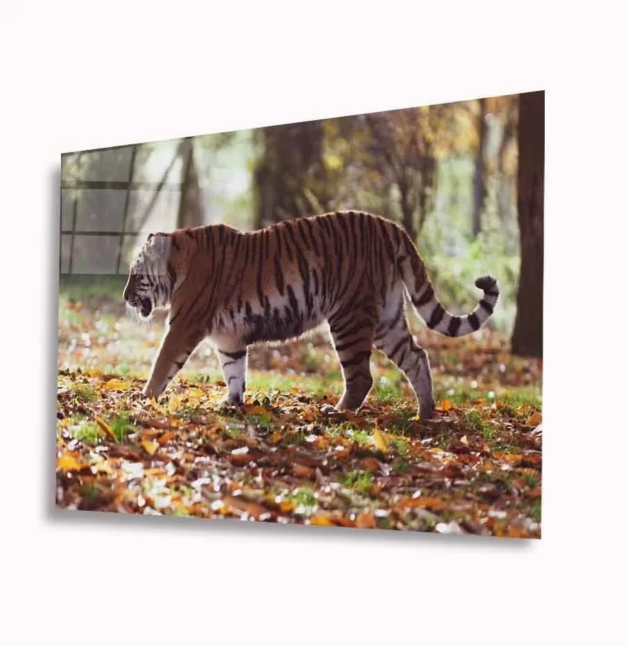 Tiger Glass Painting