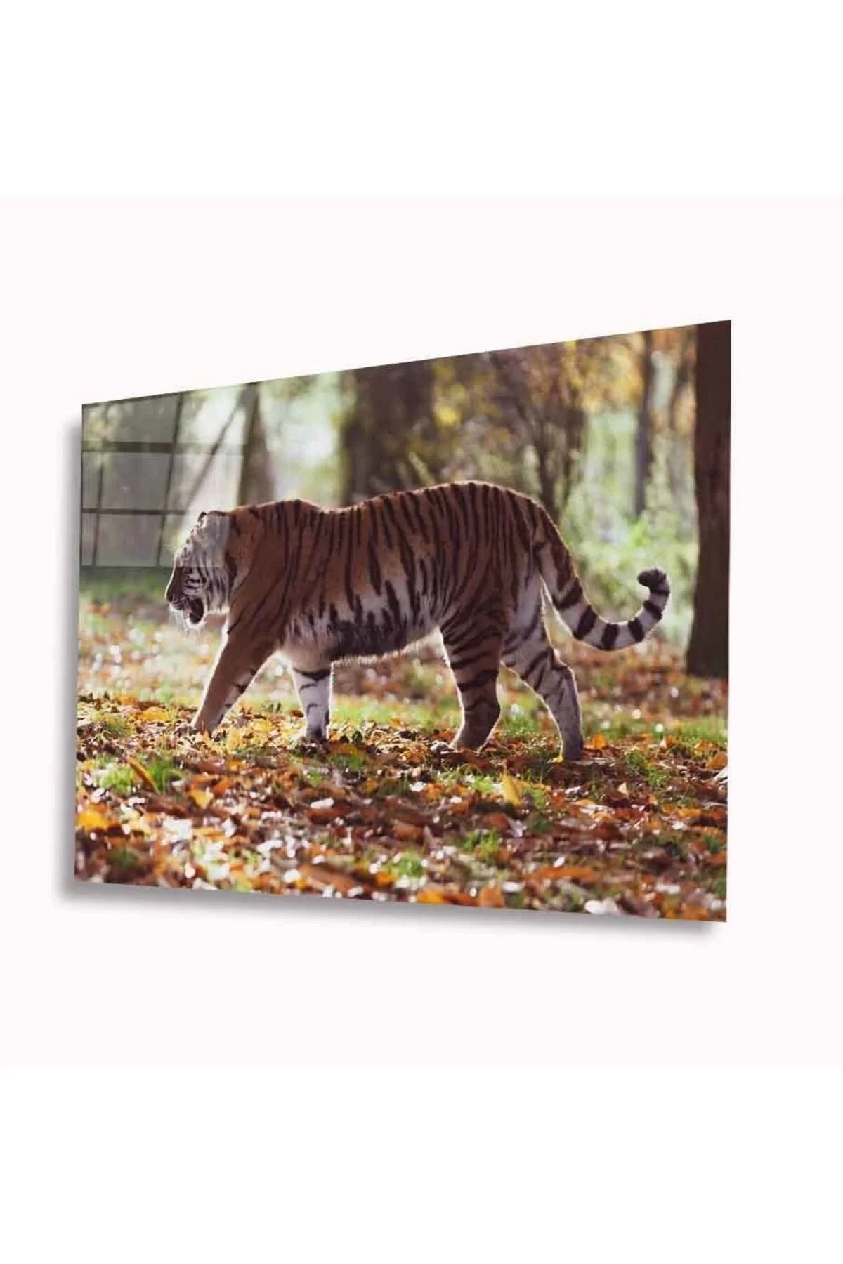 Tiger Glass Table 4mm Durable Tempered Glass