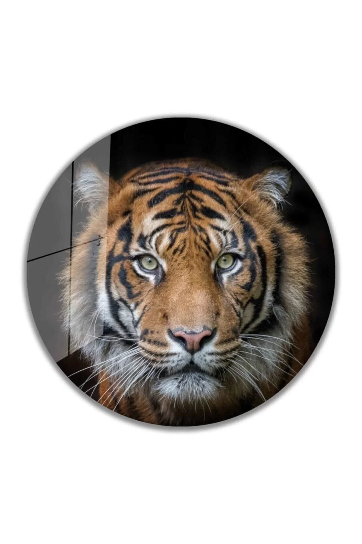 Tiger Round Glass Table 4mm Durable Tempered Glass