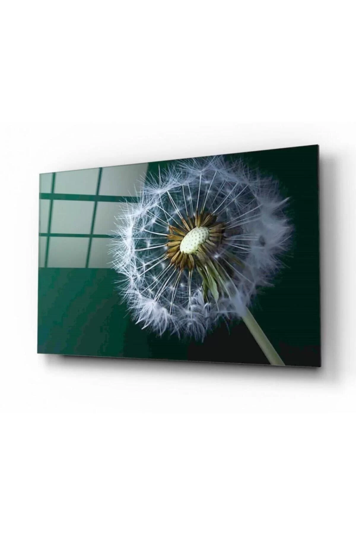 Dandelion Glass Painting