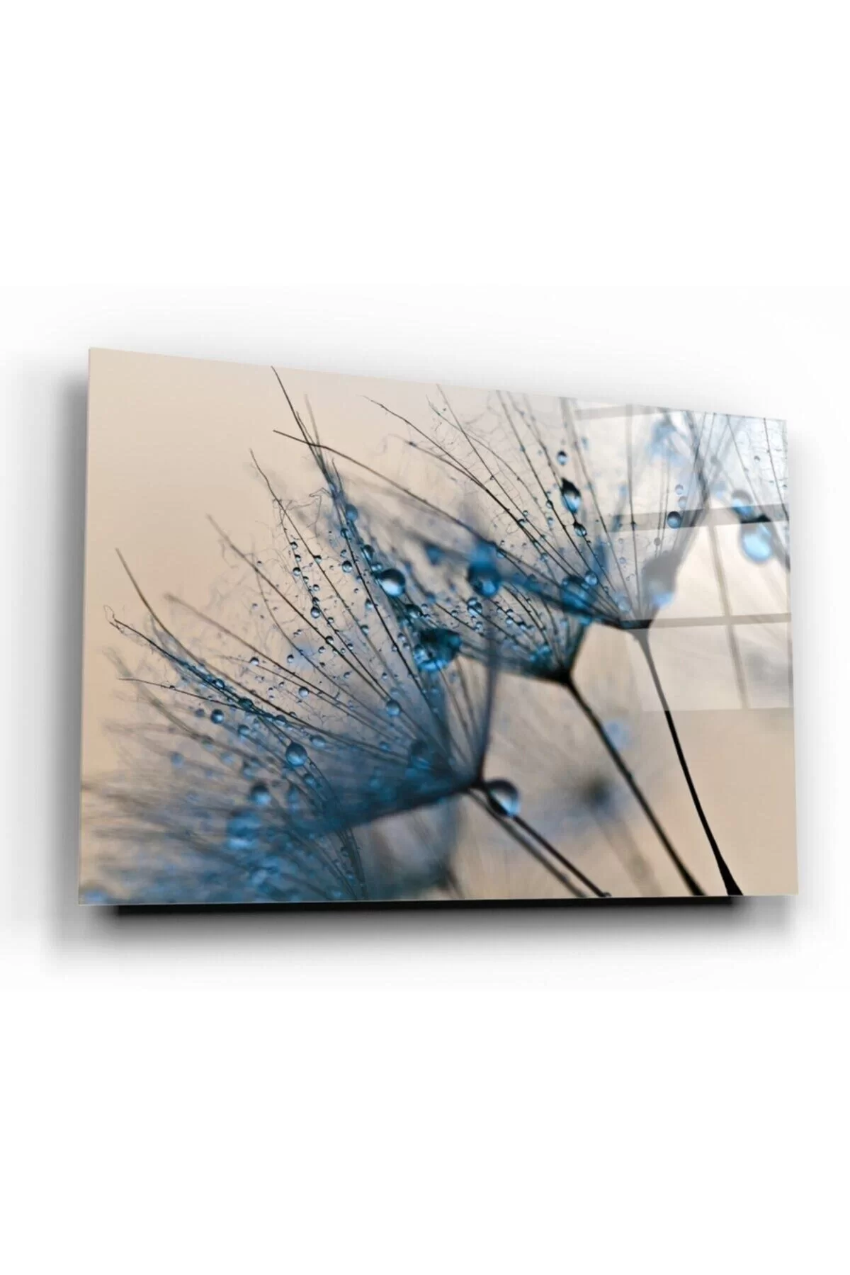 Dandelion Glass Painting