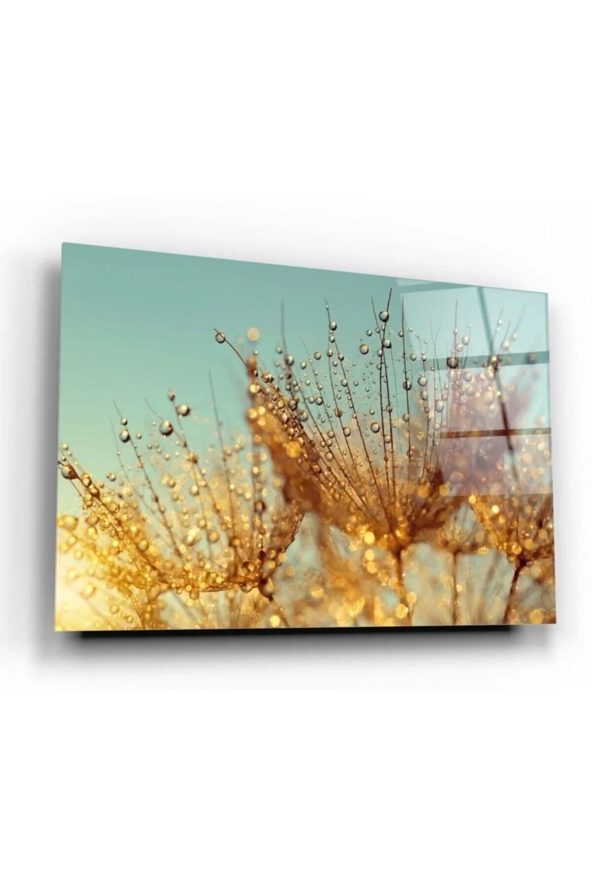 Dandelion Glass Painting