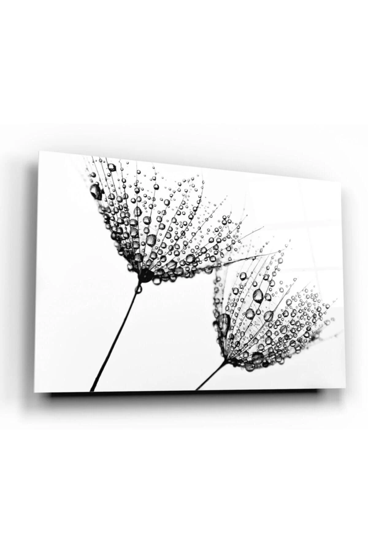 Dandelion Glass Painting