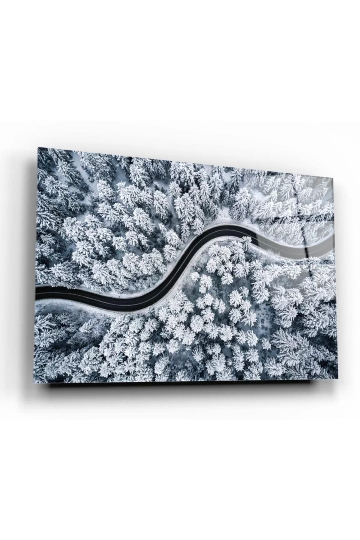 Snowy Forest Glass Painting