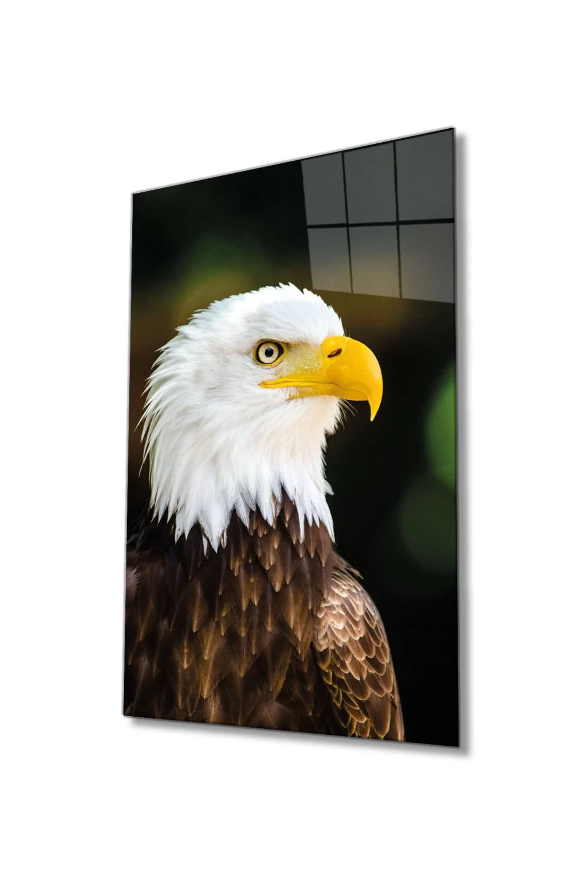 Eagle Animal Portrait Glass Painting, Home And Office Wall Decor, Large Tempered 4 Mm Glass Painting