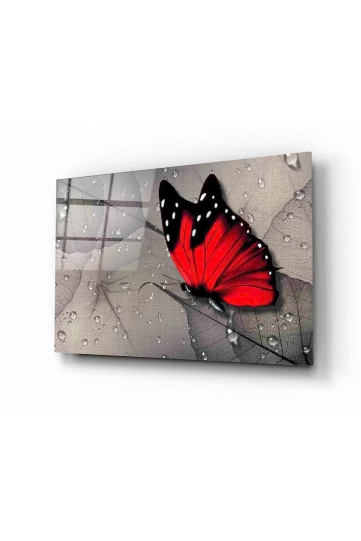 Butterfly Glass Painting