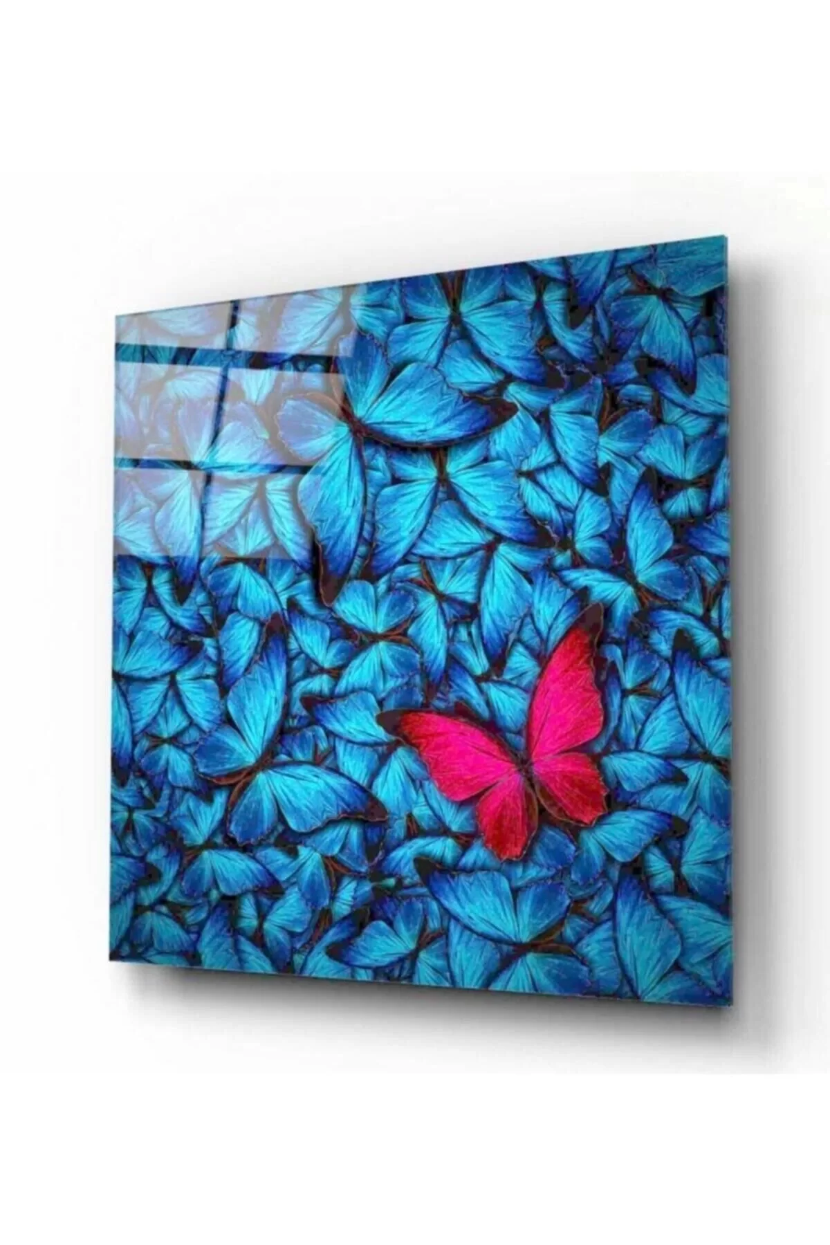 Butterfly Glass Painting