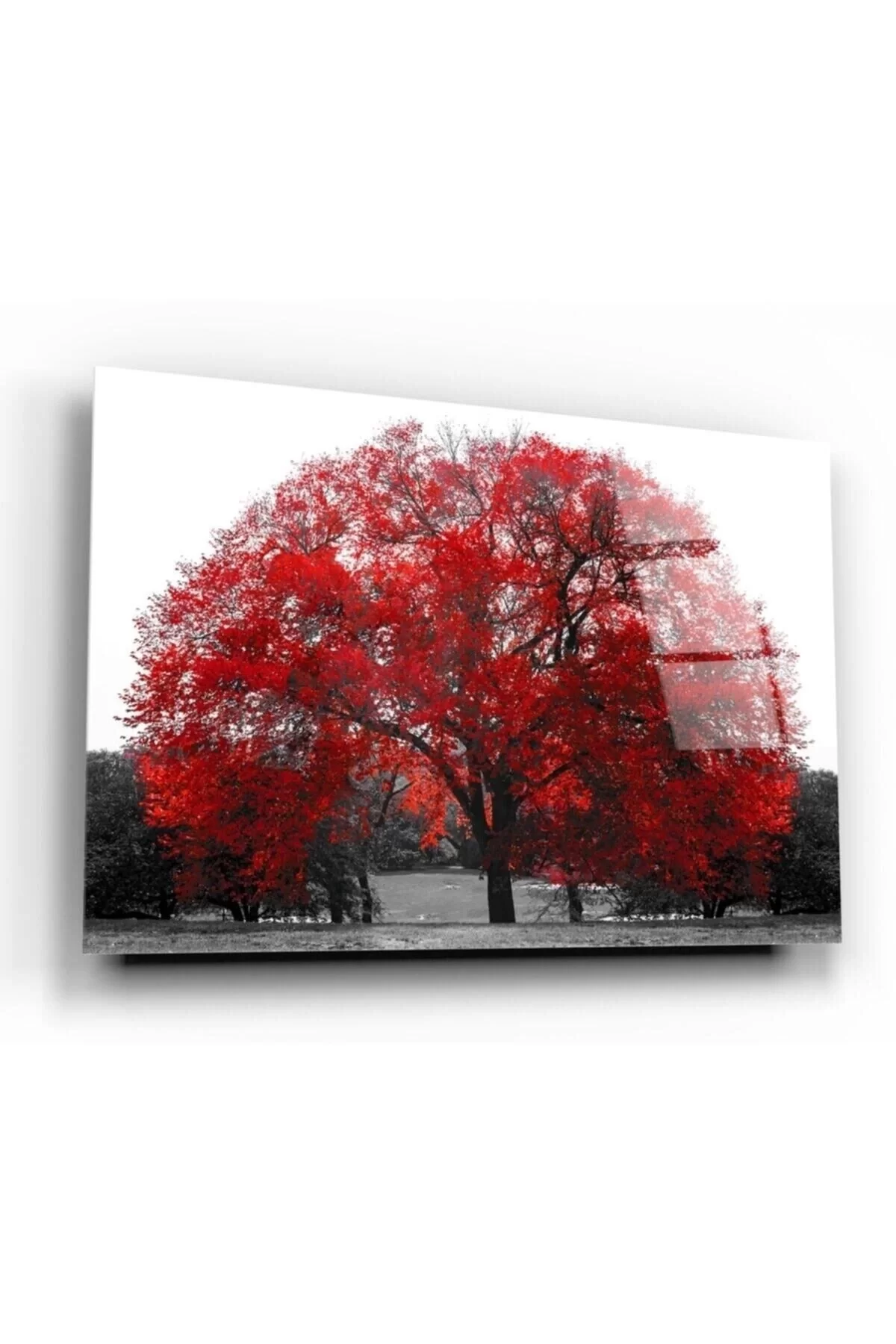 Red Tree Glass Table