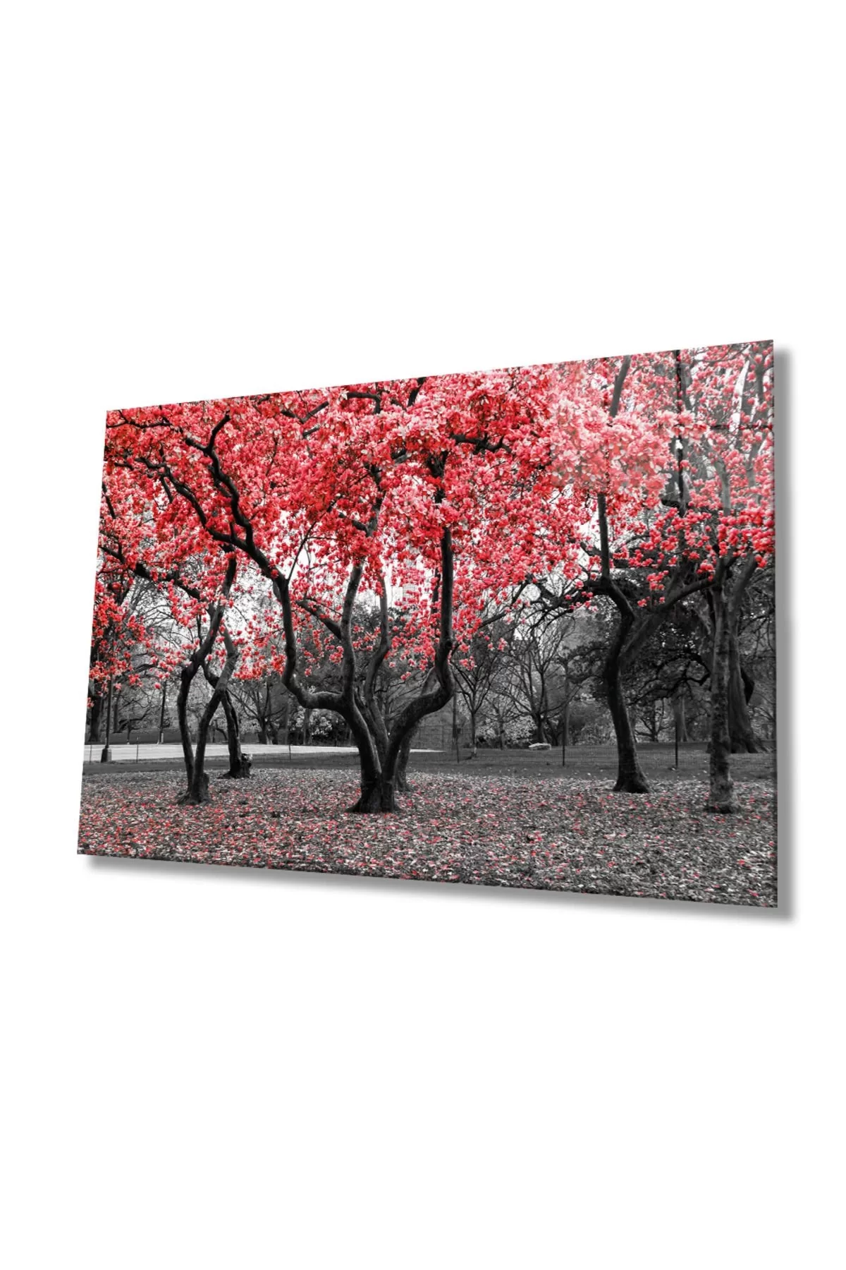 Red Trees Nature Glass Painting, Home And Office Wall Decoration,