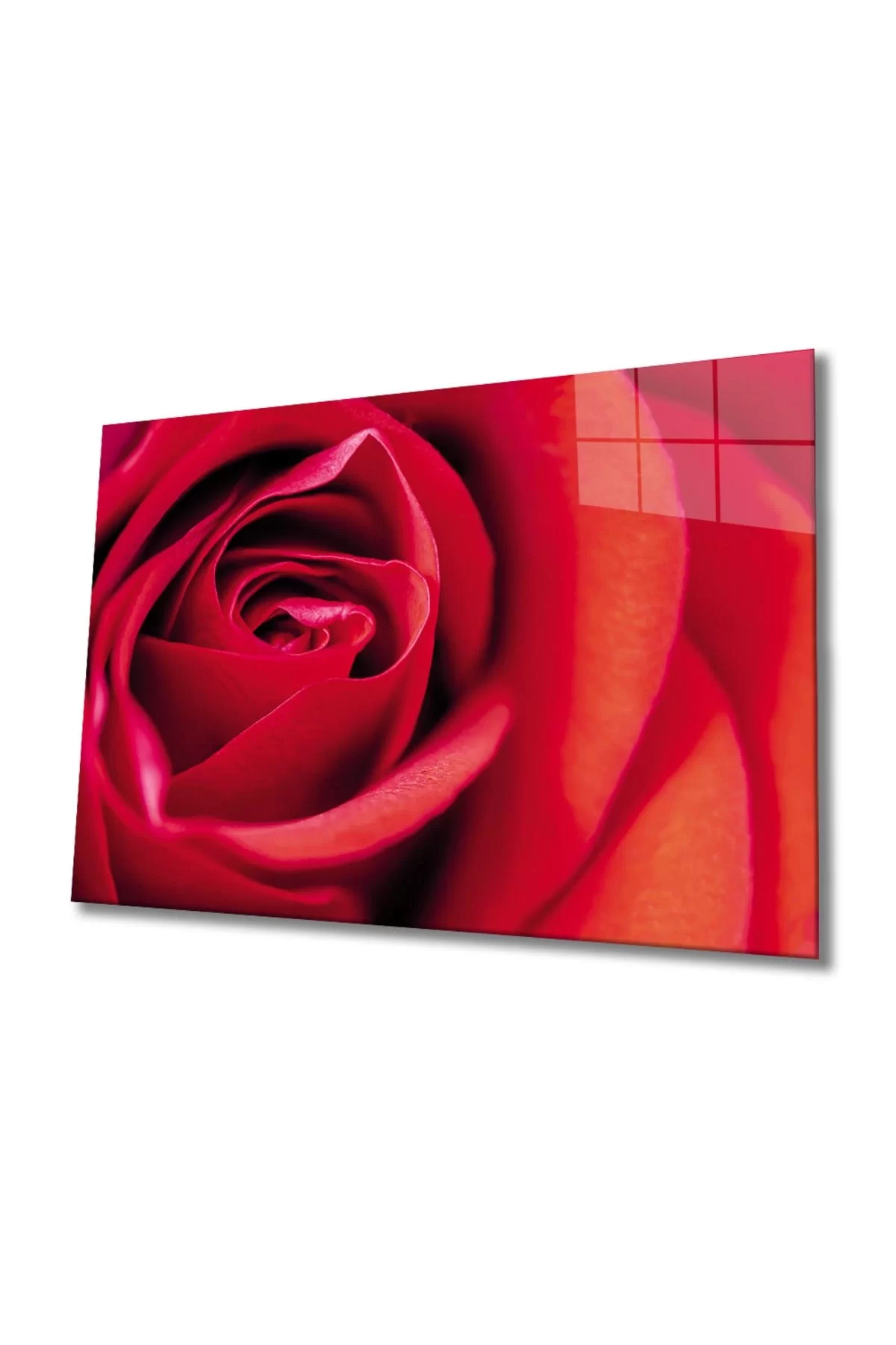 Red Rose Glass Painting