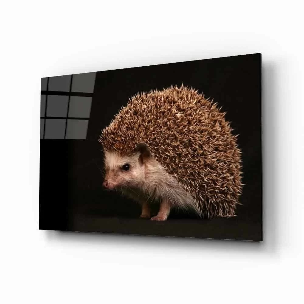 Hedgehog Animal Glass Painting