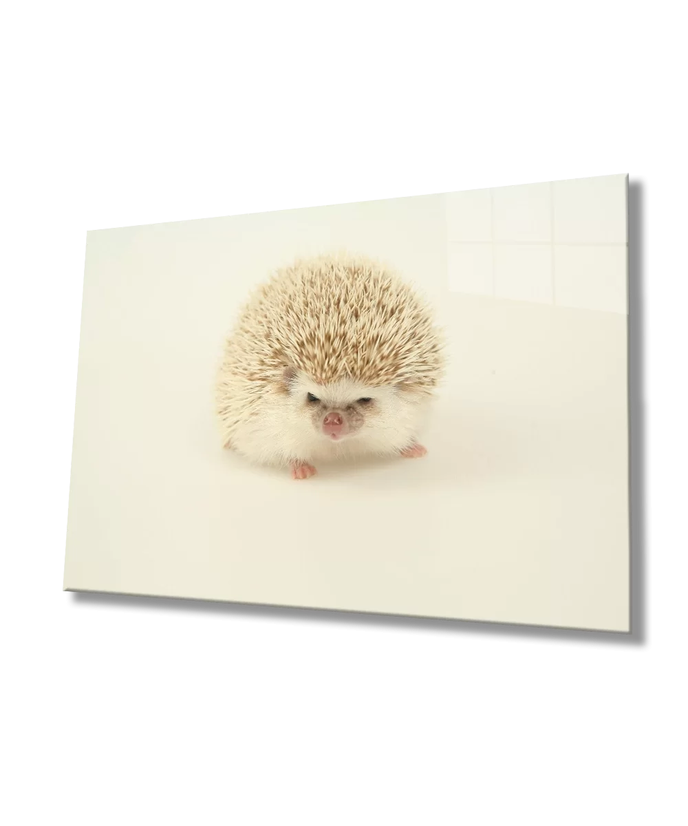 Hedgehog Animal Glass Painting