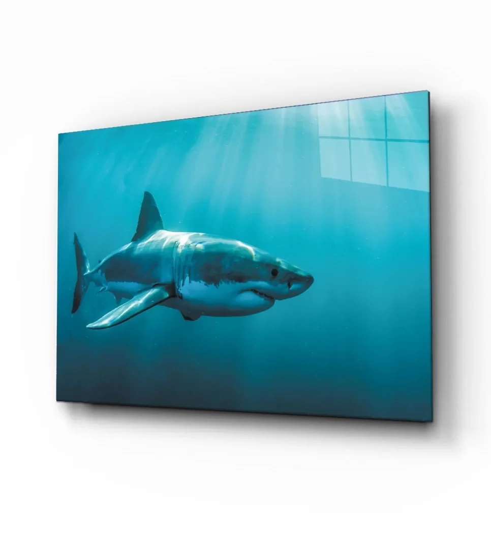 Shark Glass Painting