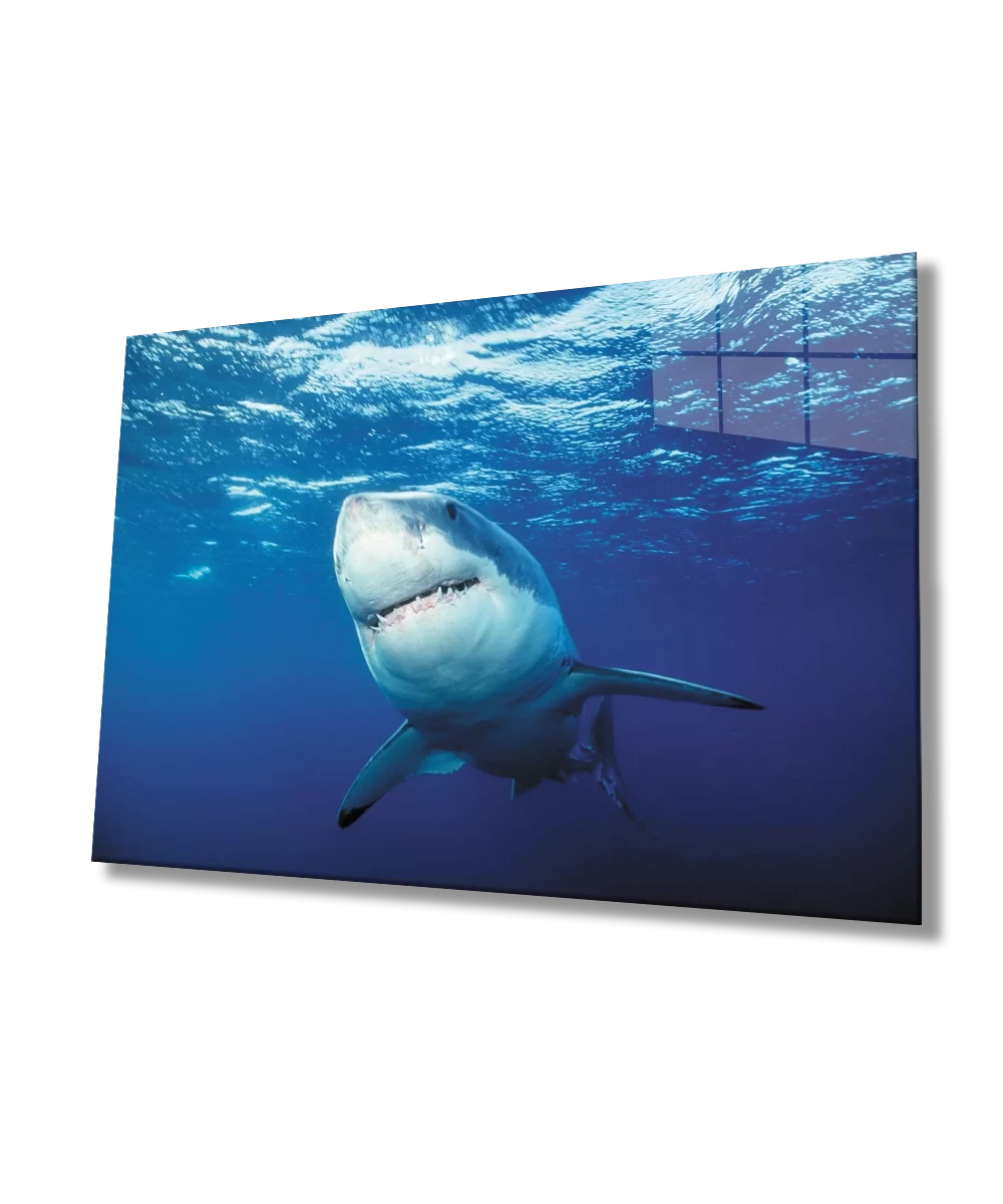 Shark Underwater Glass Painting