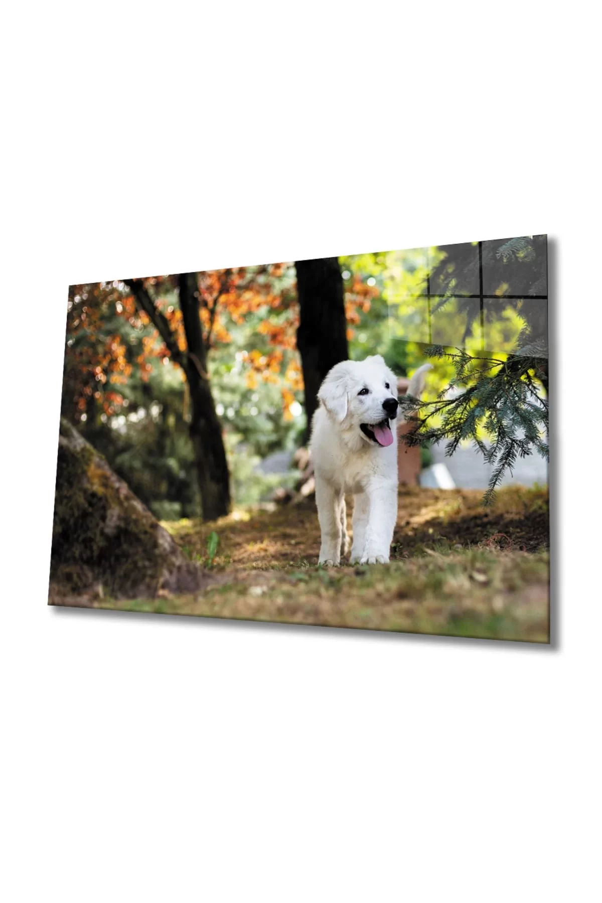 Dog Glass Table