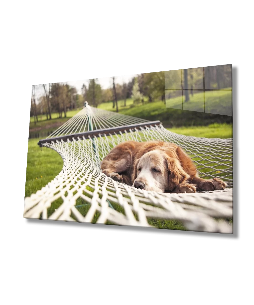 Dog Glass Table