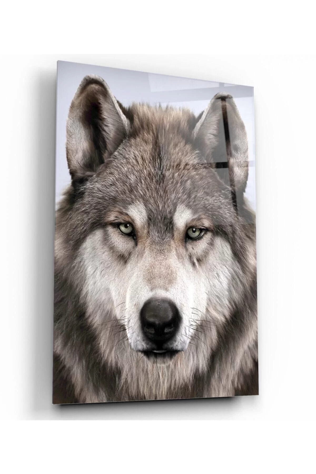 Wolf Glass Painting