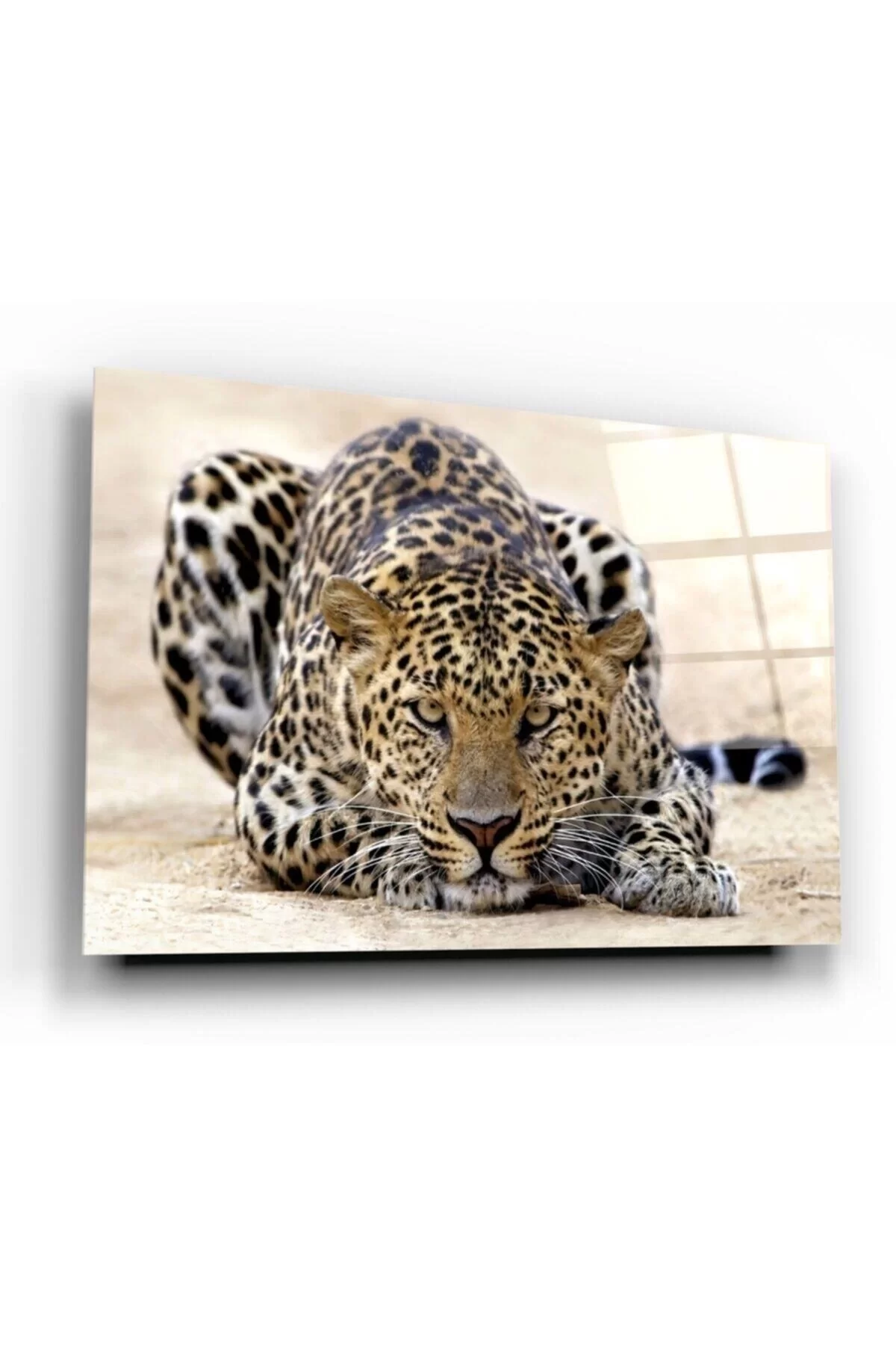 Leopard Glass Painting