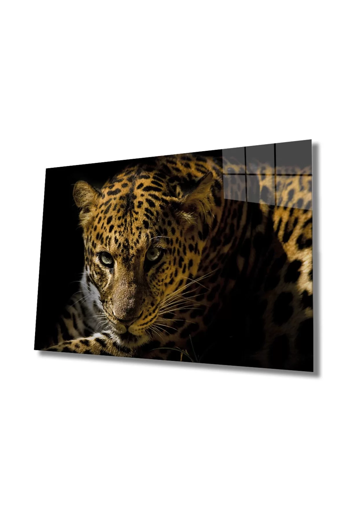 Leopard Animal Glass Painting